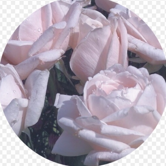 charlie_rose188